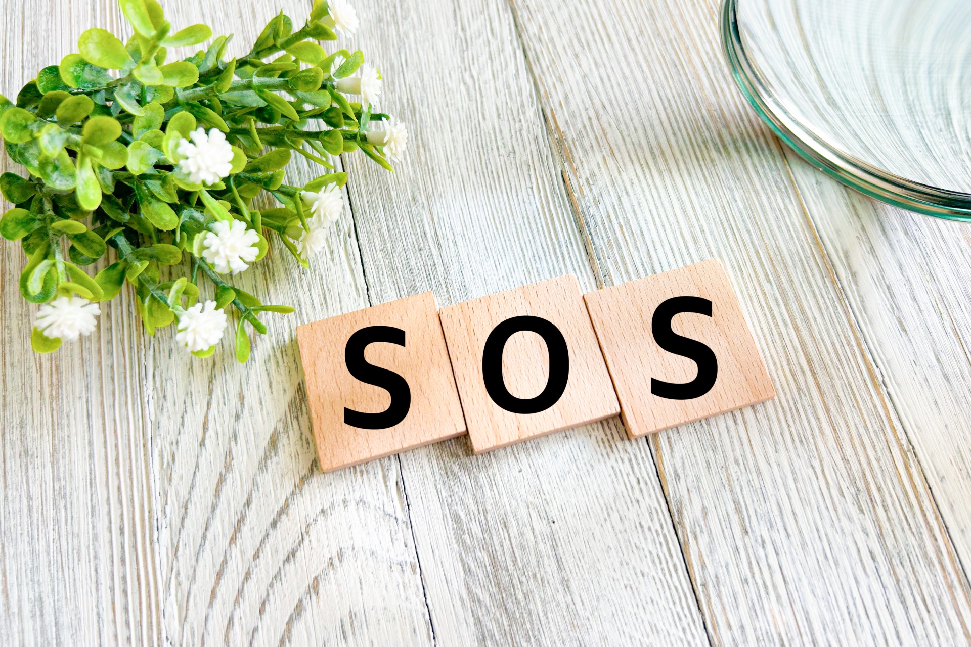SOS 悩み相談