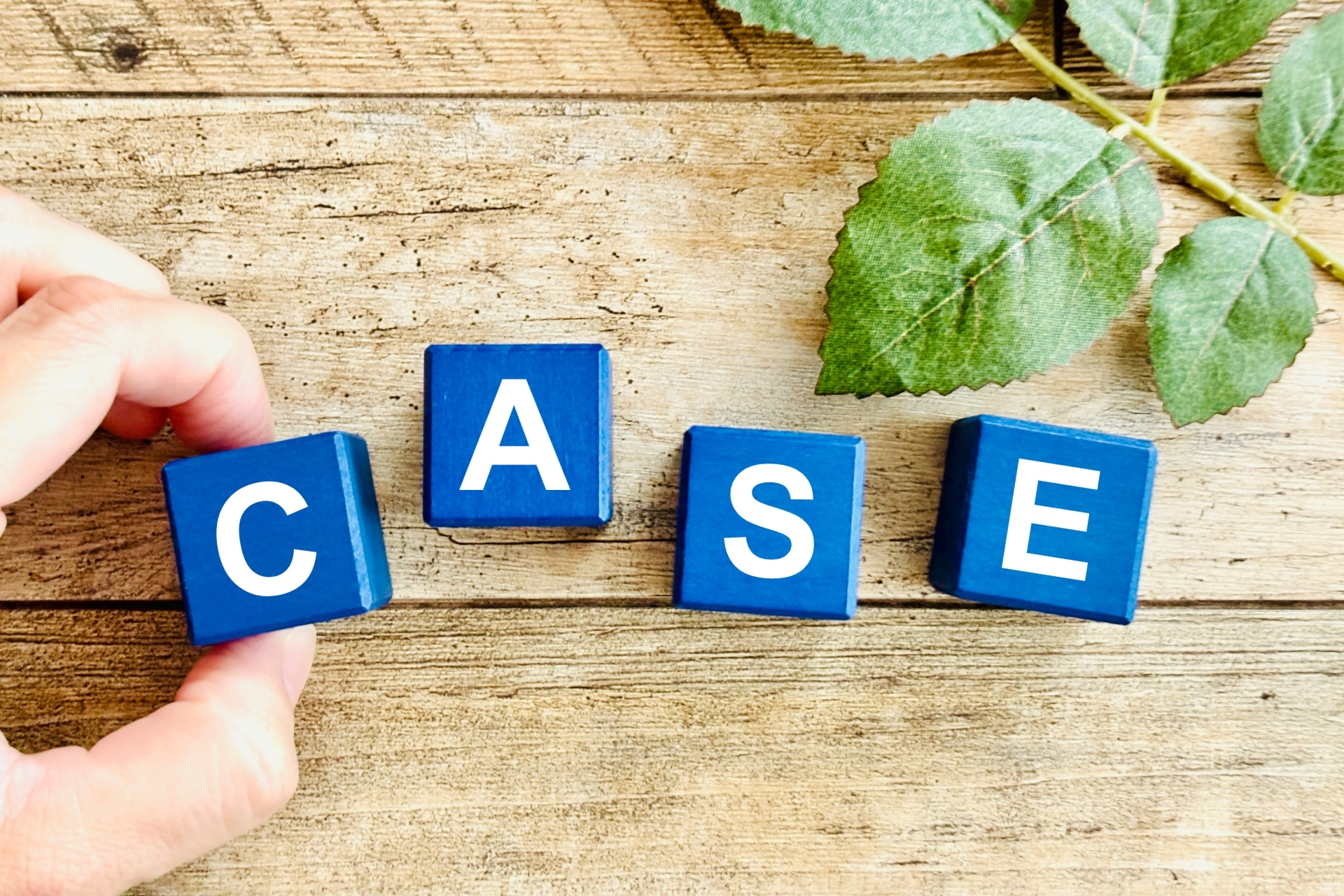 ケーススタディ・事例紹介