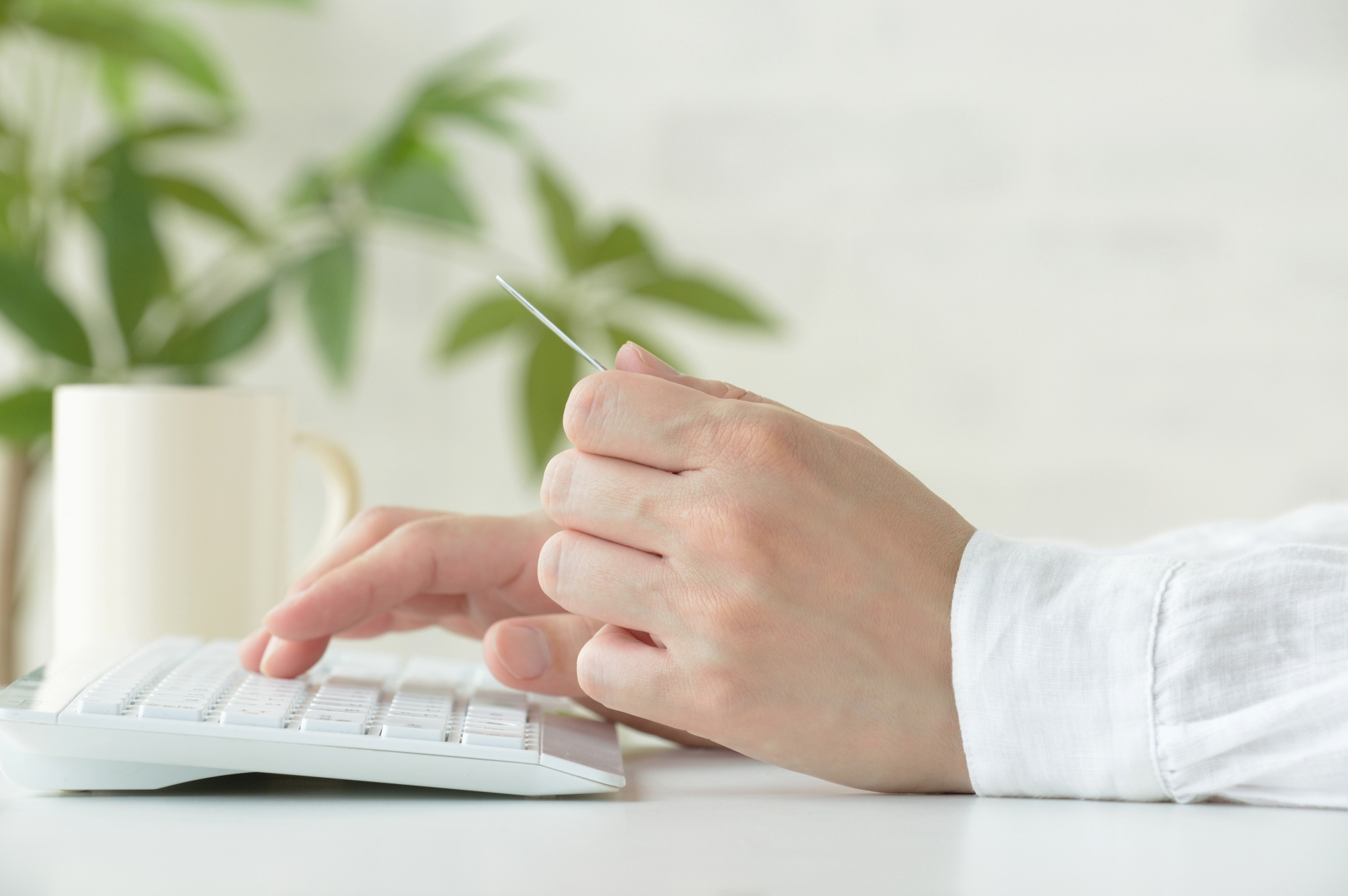 オンライン申請