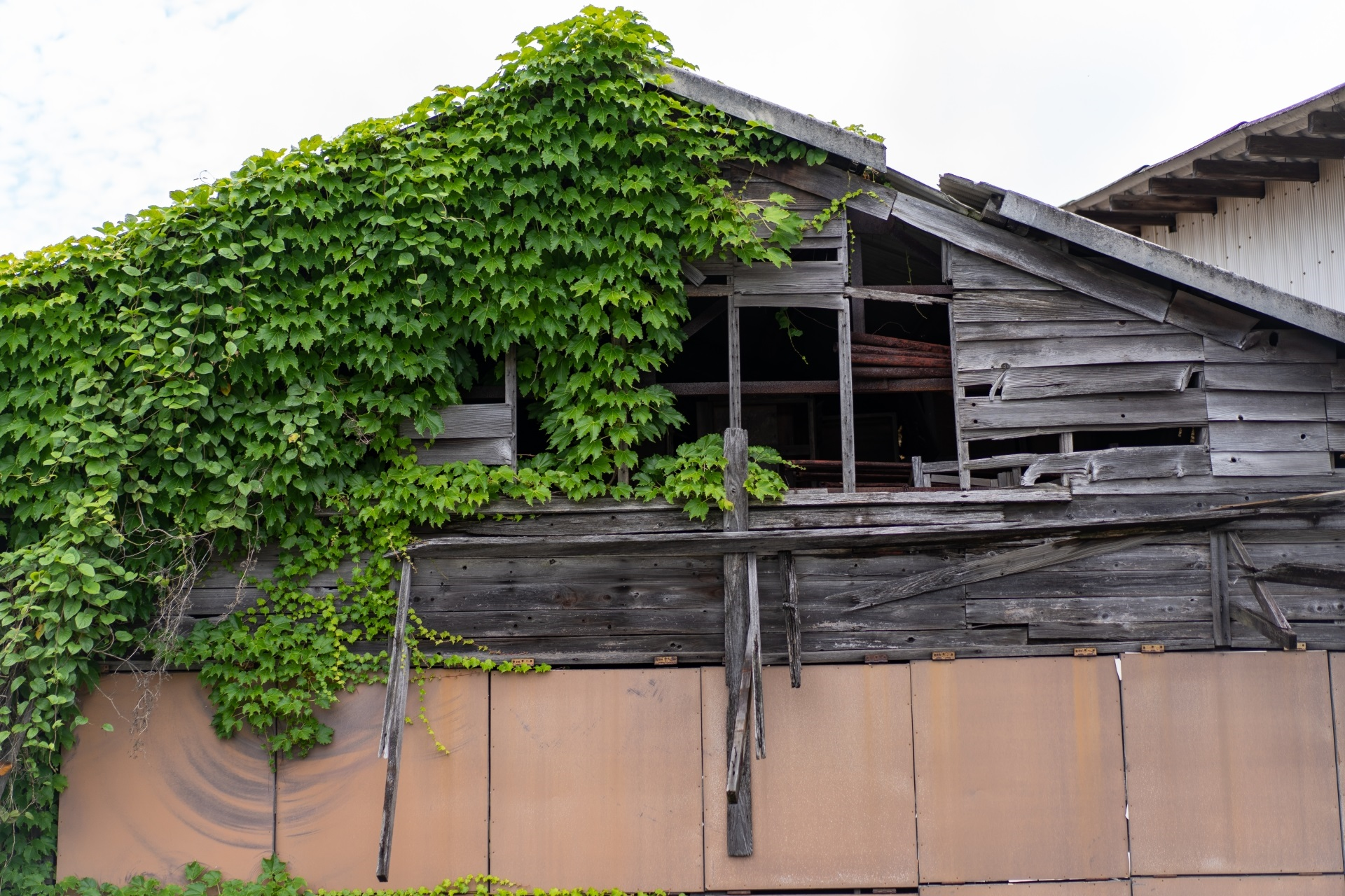 放置された廃屋