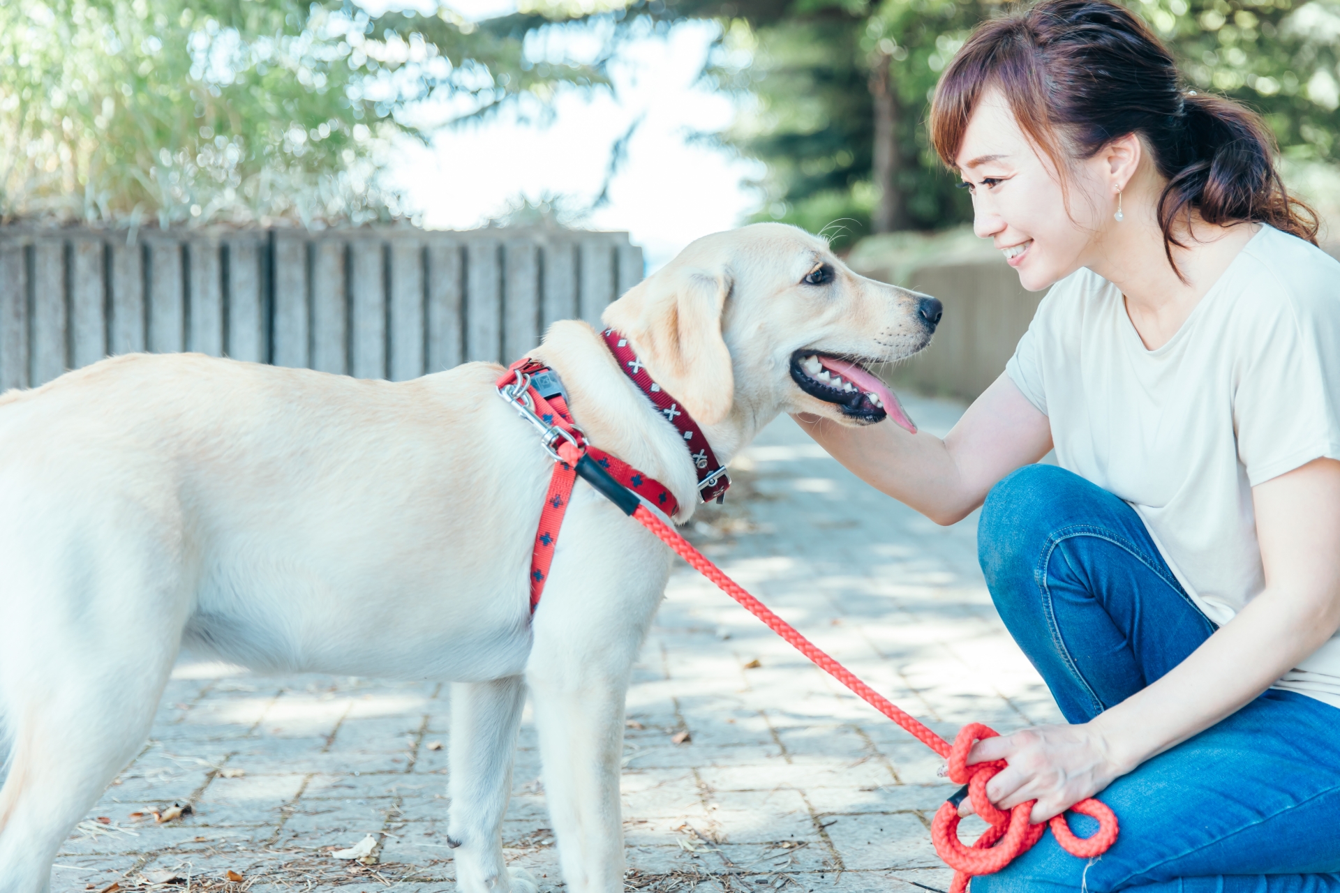 生活保護を受けるとペットの犬はどうなる?
