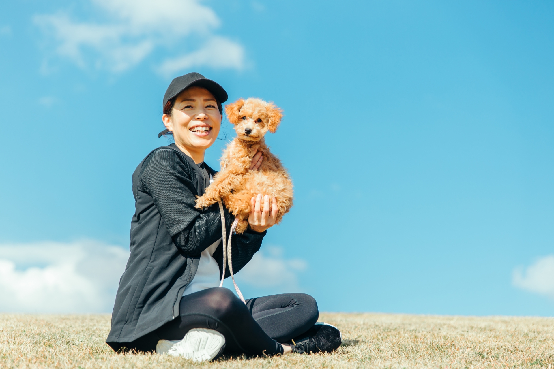 生活保護受給中に犬を飼うなら生活費と通信手段を含めて無理のない範囲で続けることが大切