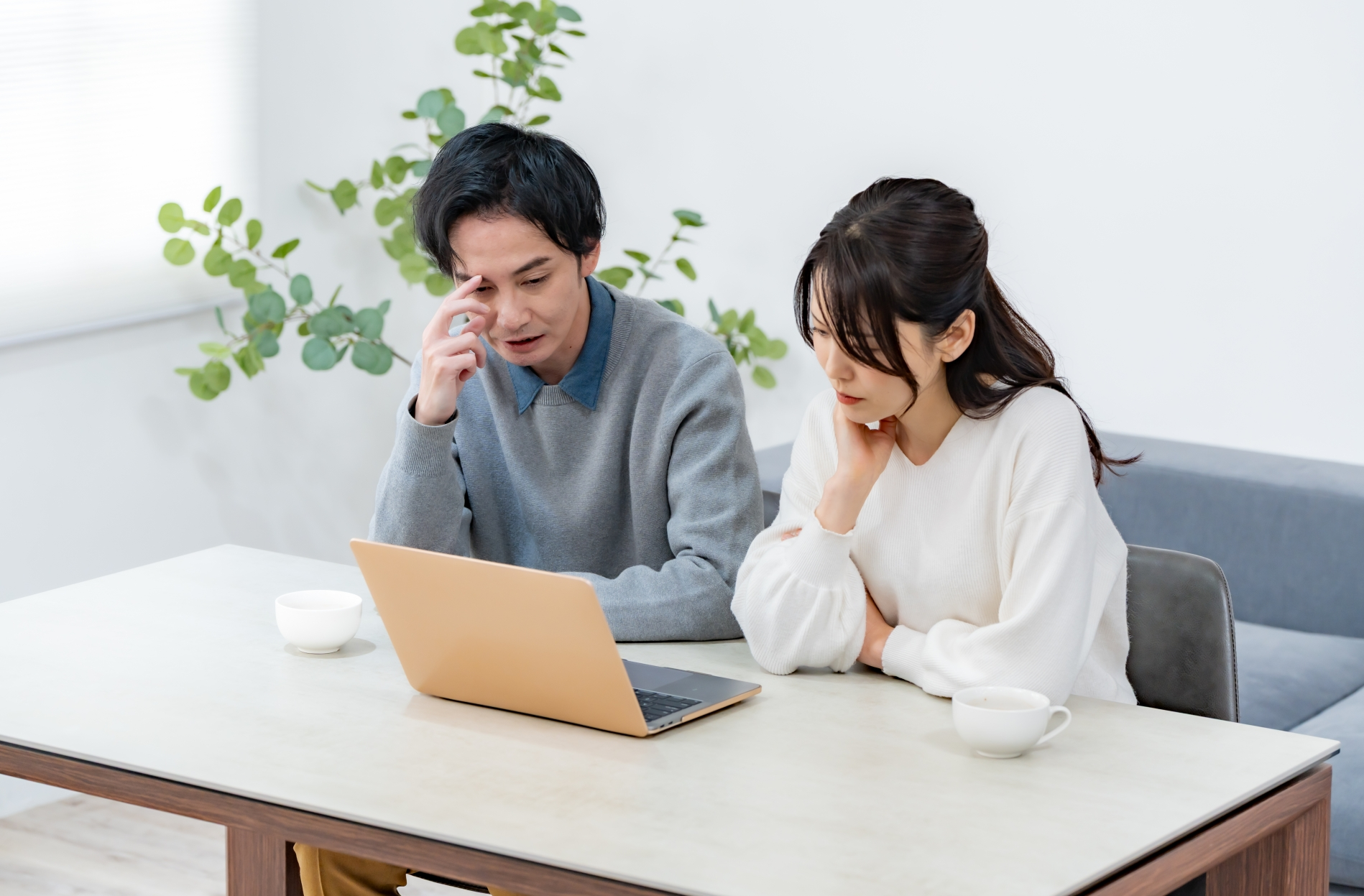 パソコンを前に座る男女